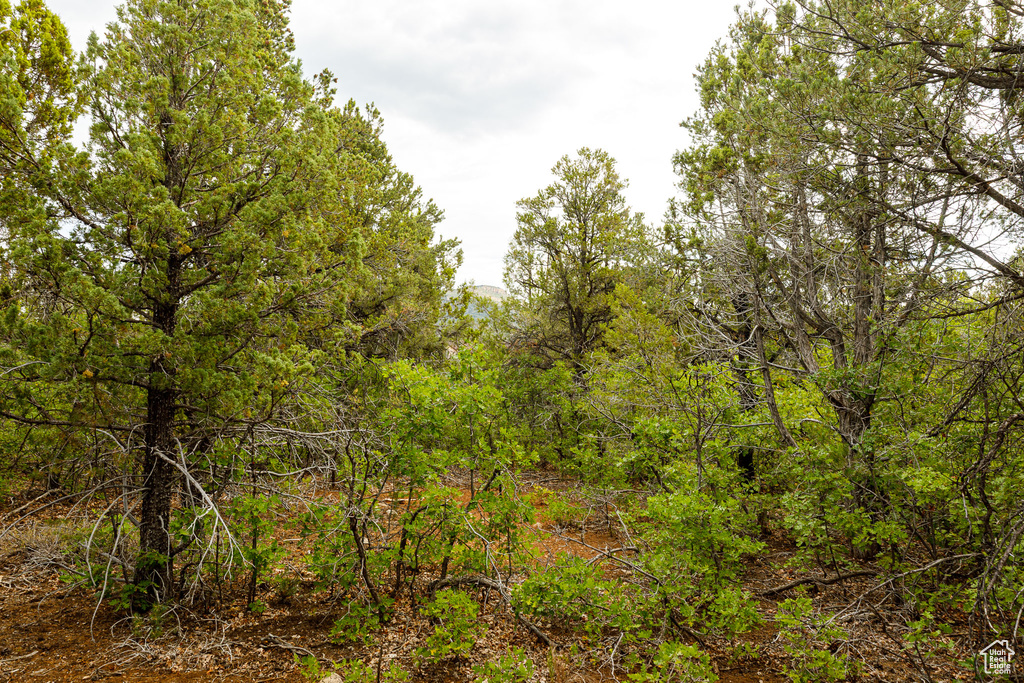 662 S ZION DR Orderville, UT 84758