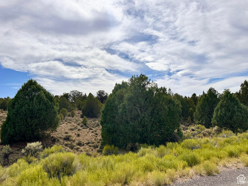 1730 E EAGLE CIR Hatch, UT 84735