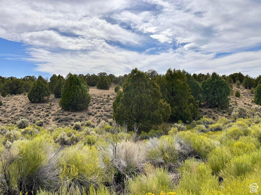 1730 E EAGLE CIR Hatch, UT 84735