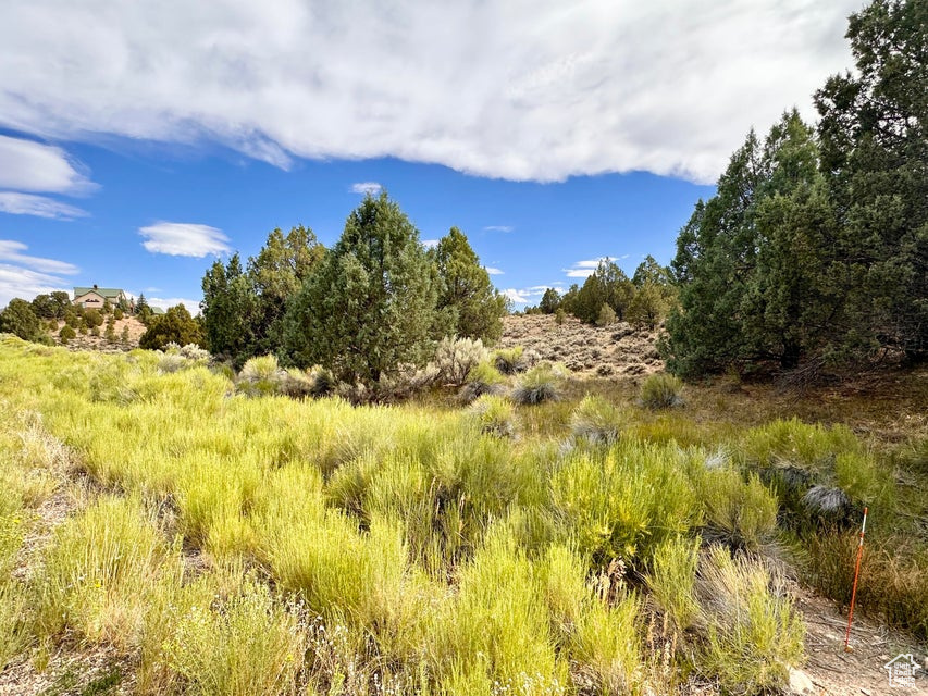 1730 E EAGLE CIR Hatch, UT 84735