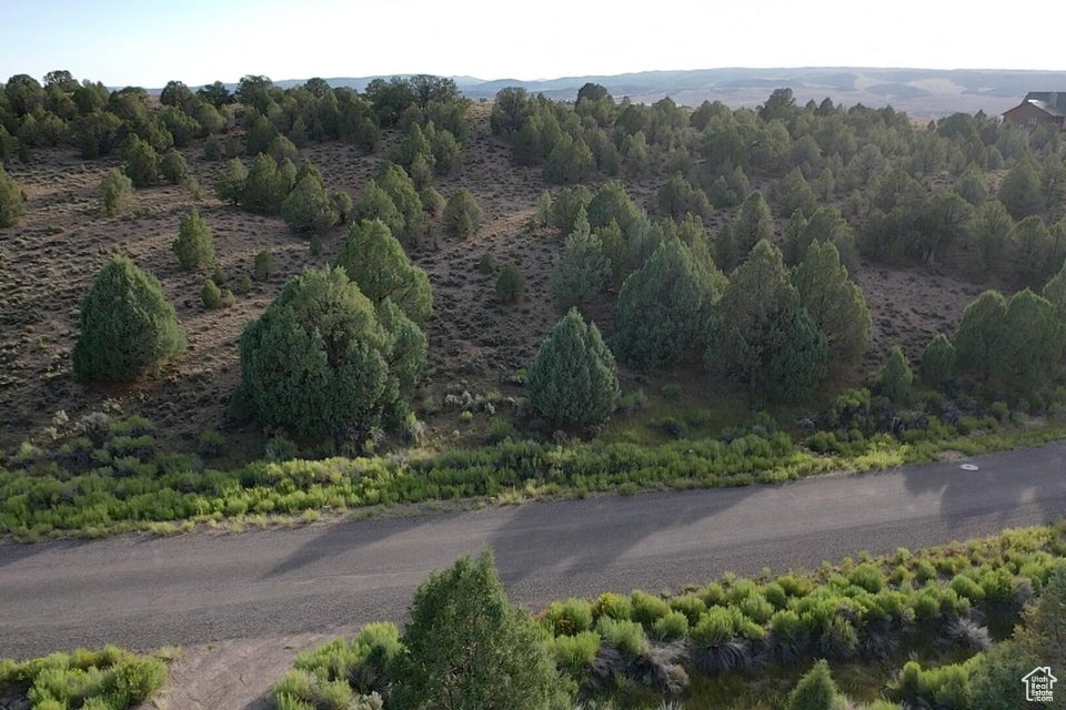 1730 E EAGLE CIR Hatch, UT 84735