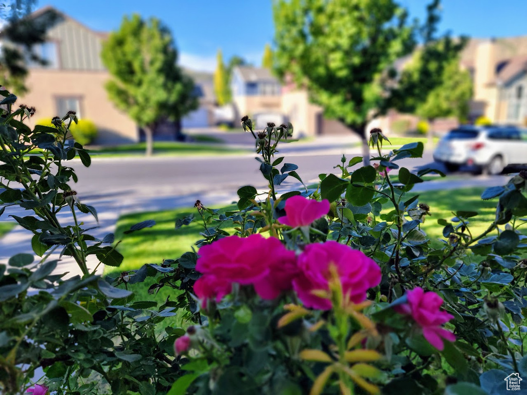 5098 W FORTROSE DR Herriman, UT 84096
