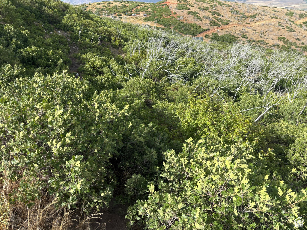  Fairview, UT 84629