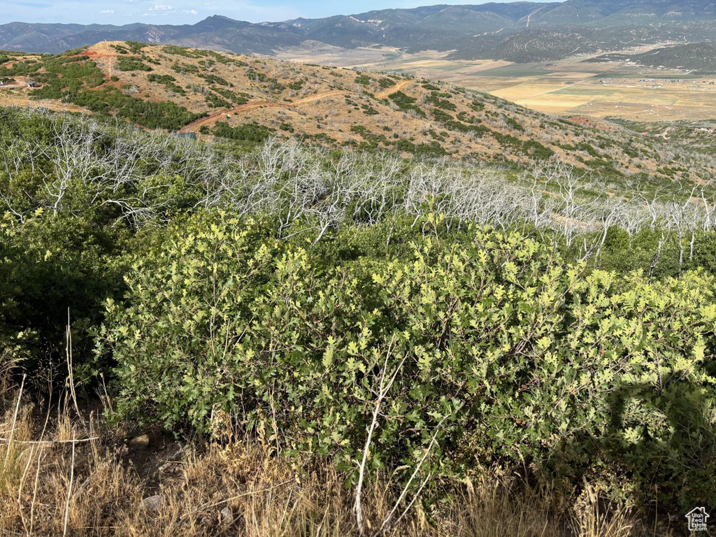  Fairview, UT 84629