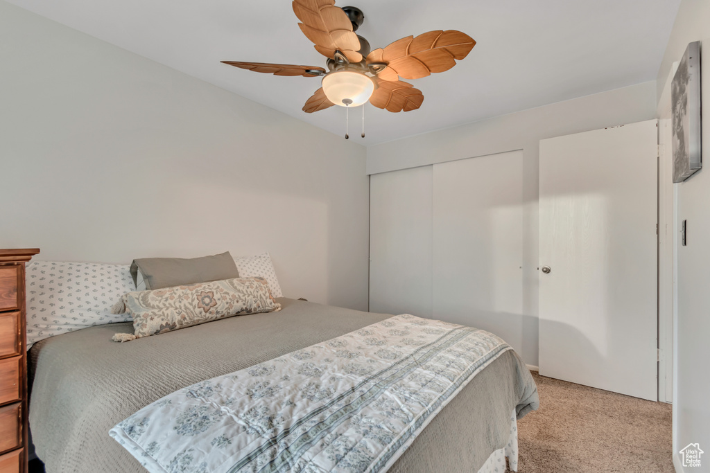 Photo 14 for MLS #2103955 at 6007 S Sweet Basil