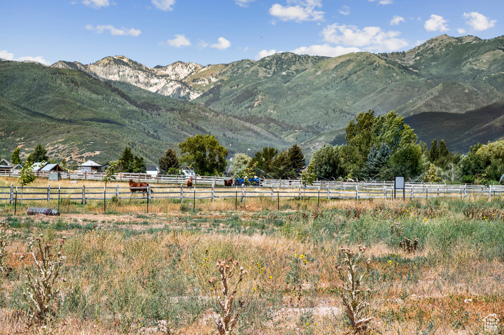 358 N WHITAKER FARM WAY Midway, UT 84049