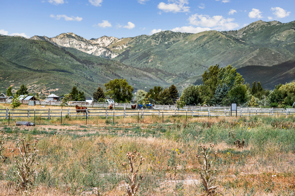 358 N WHITAKER FARM WAY Midway, UT 84049