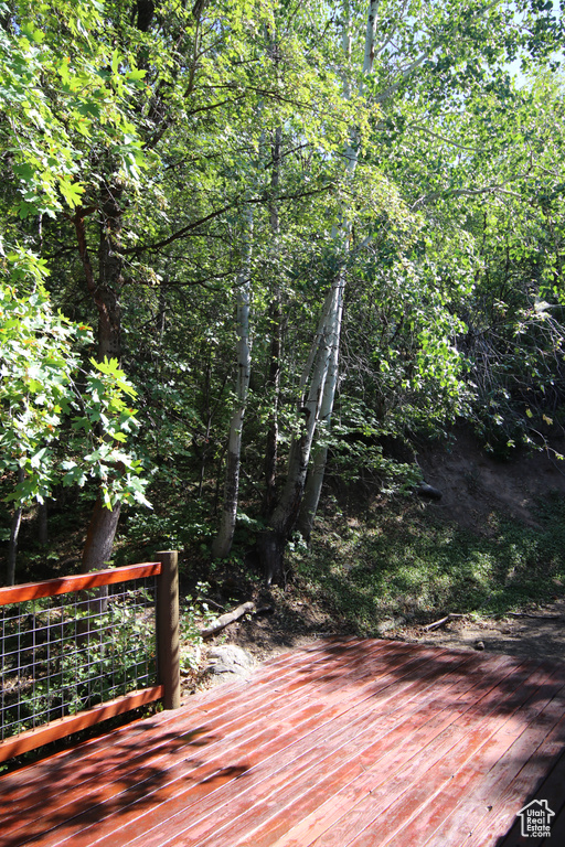 Photo 32 for MLS #2104025 at 1383 S Choke Cherry Dr