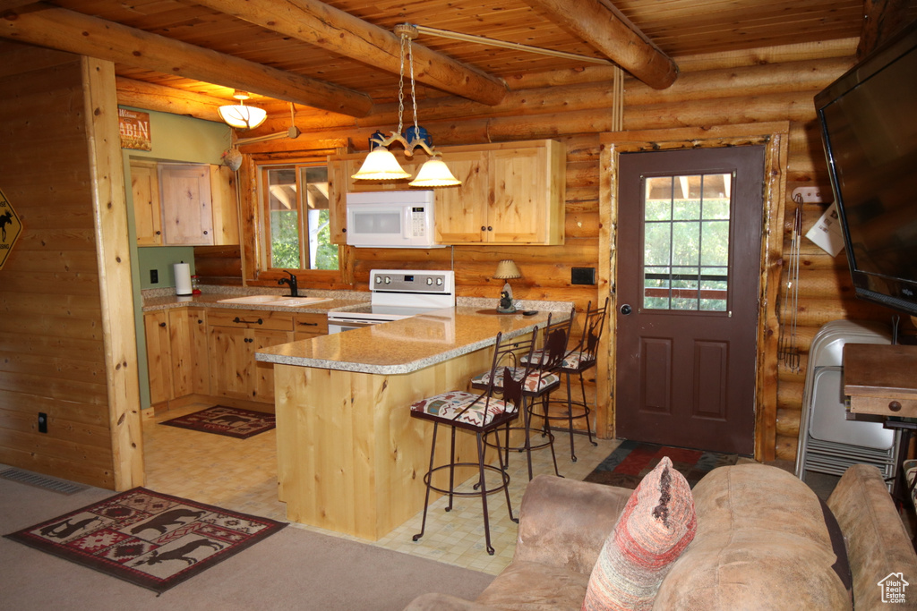 Photo 12 for MLS #2104025 at 1383 S Choke Cherry Dr