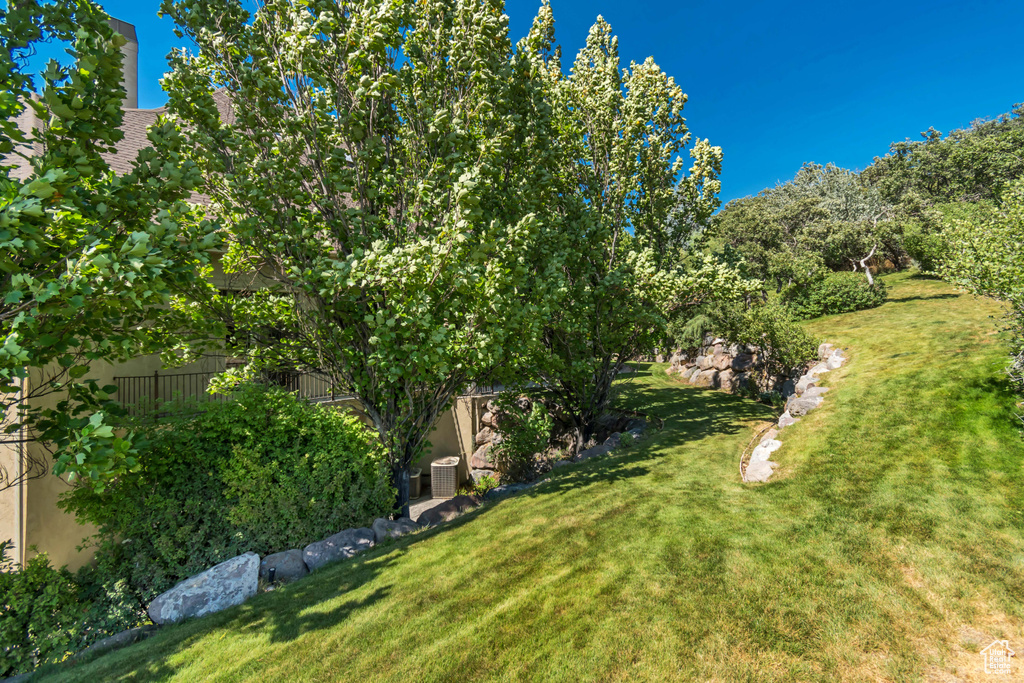Photo 75 for MLS #2104026 at 925 S Healey Ct