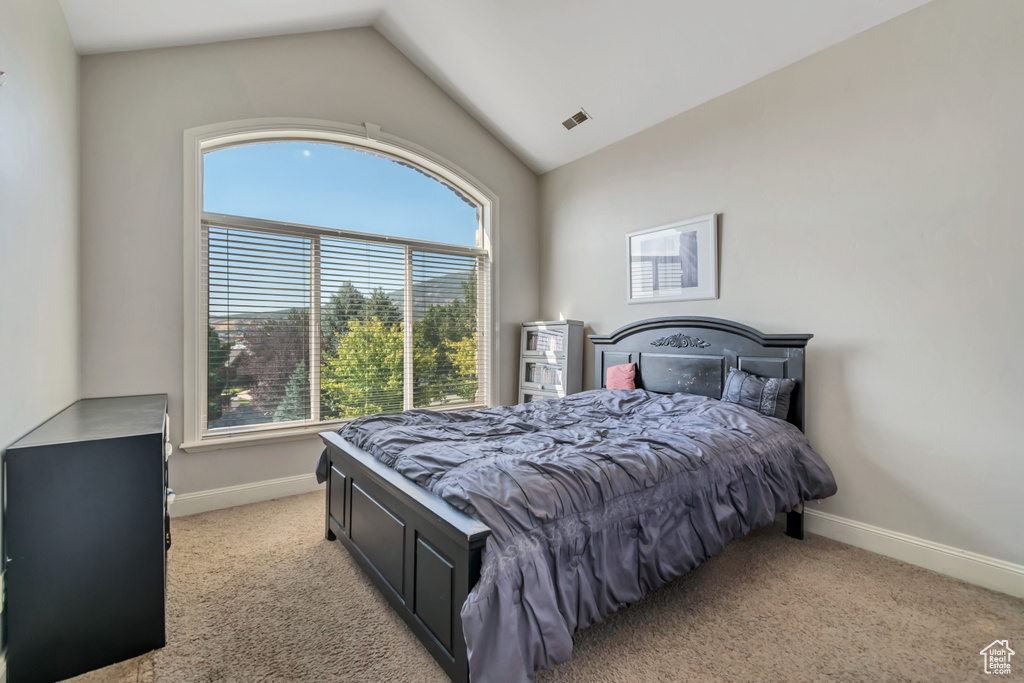 Photo 40 for MLS #2104026 at 925 S Healey Ct