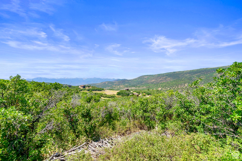 1563 S TREE TOP LN Heber City, UT 84032