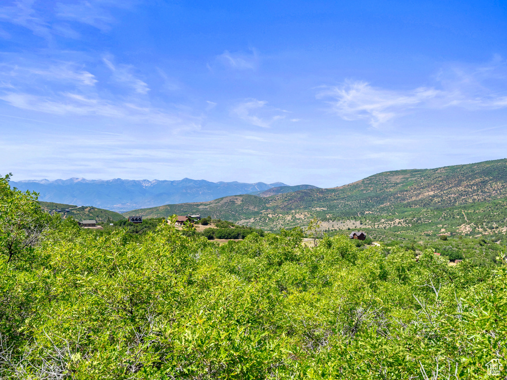 1563 S TREE TOP LN Heber City, UT 84032
