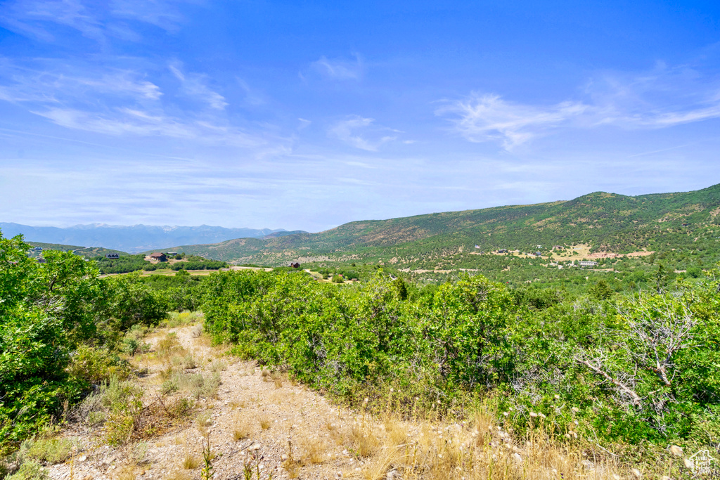 1563 S TREE TOP LN Heber City, UT 84032