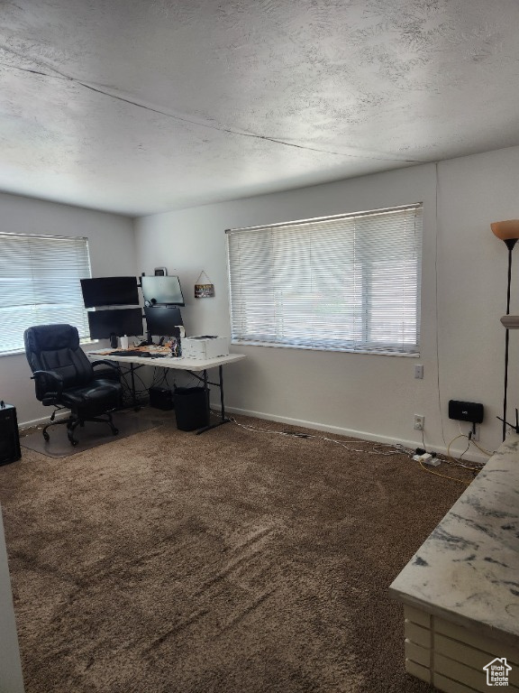 Photo 13 for MLS #2104054 at 4832 W 3850 South