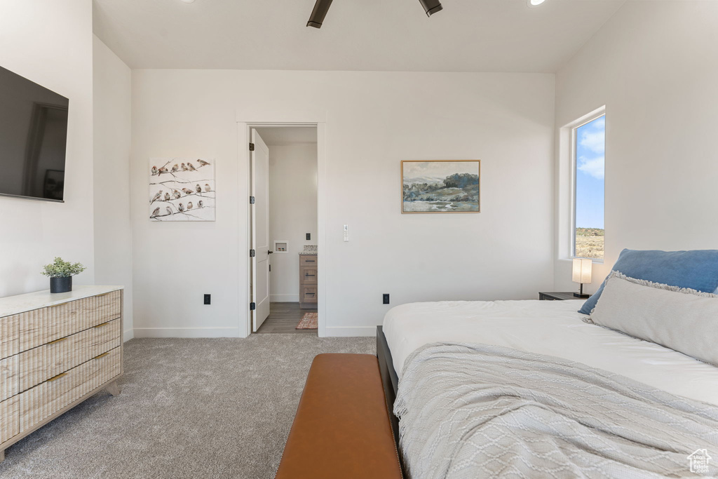 Photo 41 for MLS #2104073 at 4380 E Sego Lily Cir