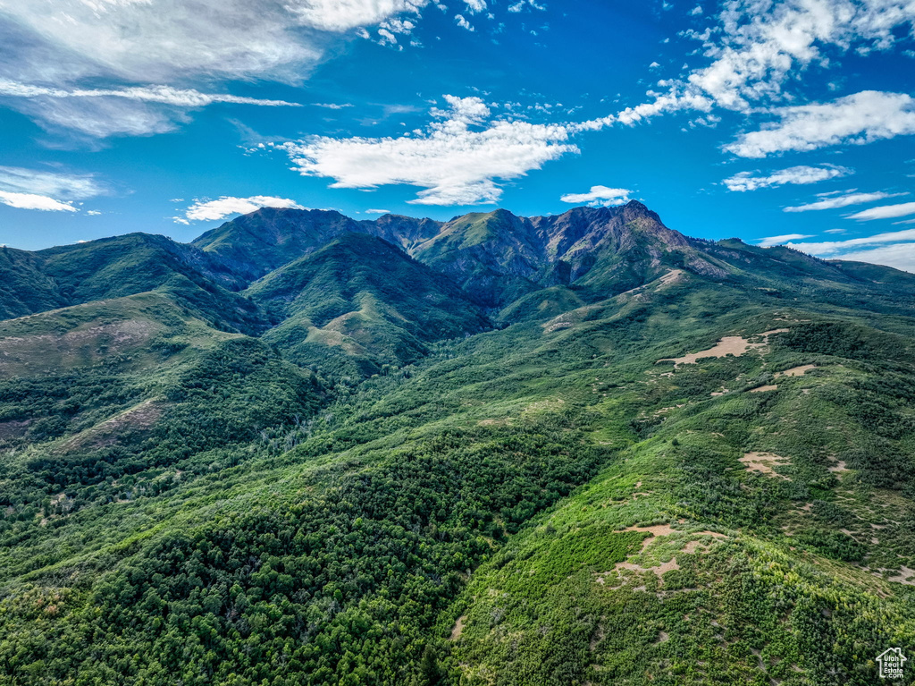 5928  WASATCH DR Mountain Green, UT 84050