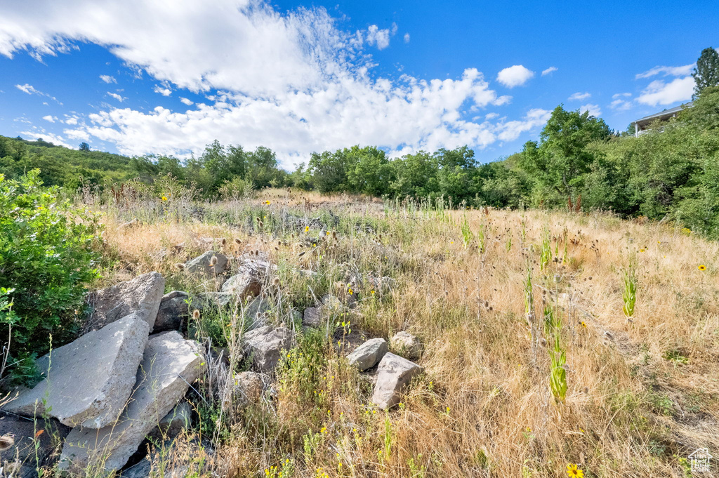 5928  WASATCH DR Mountain Green, UT 84050