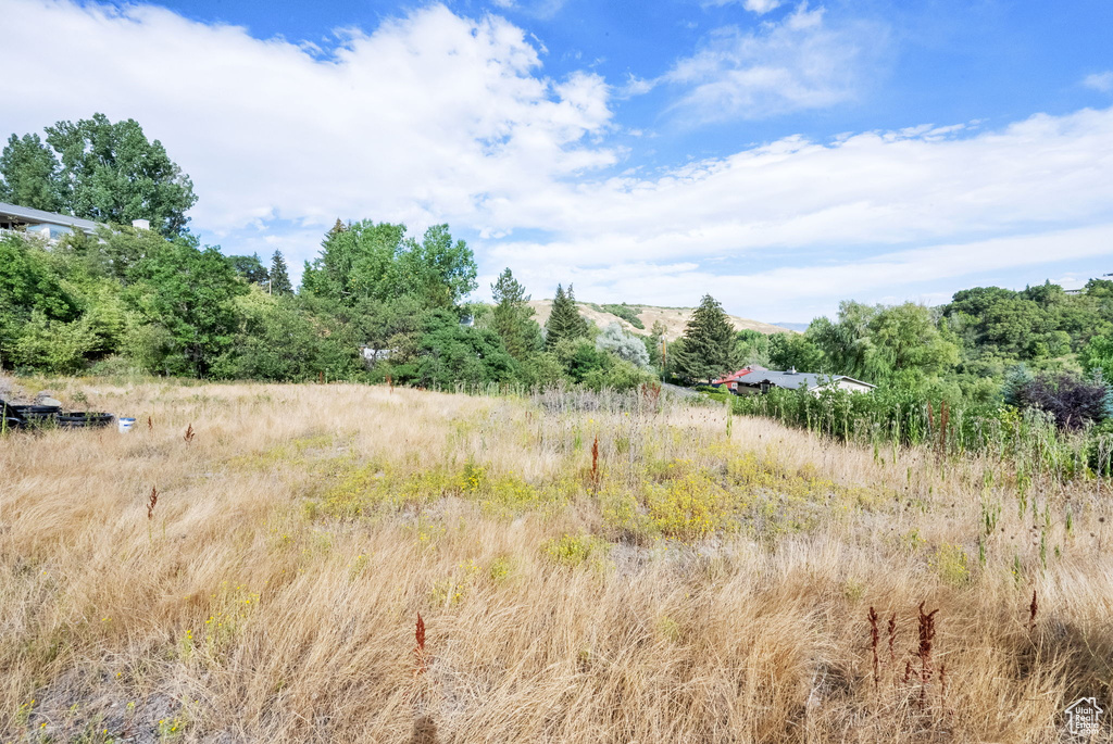 5928  WASATCH DR Mountain Green, UT 84050
