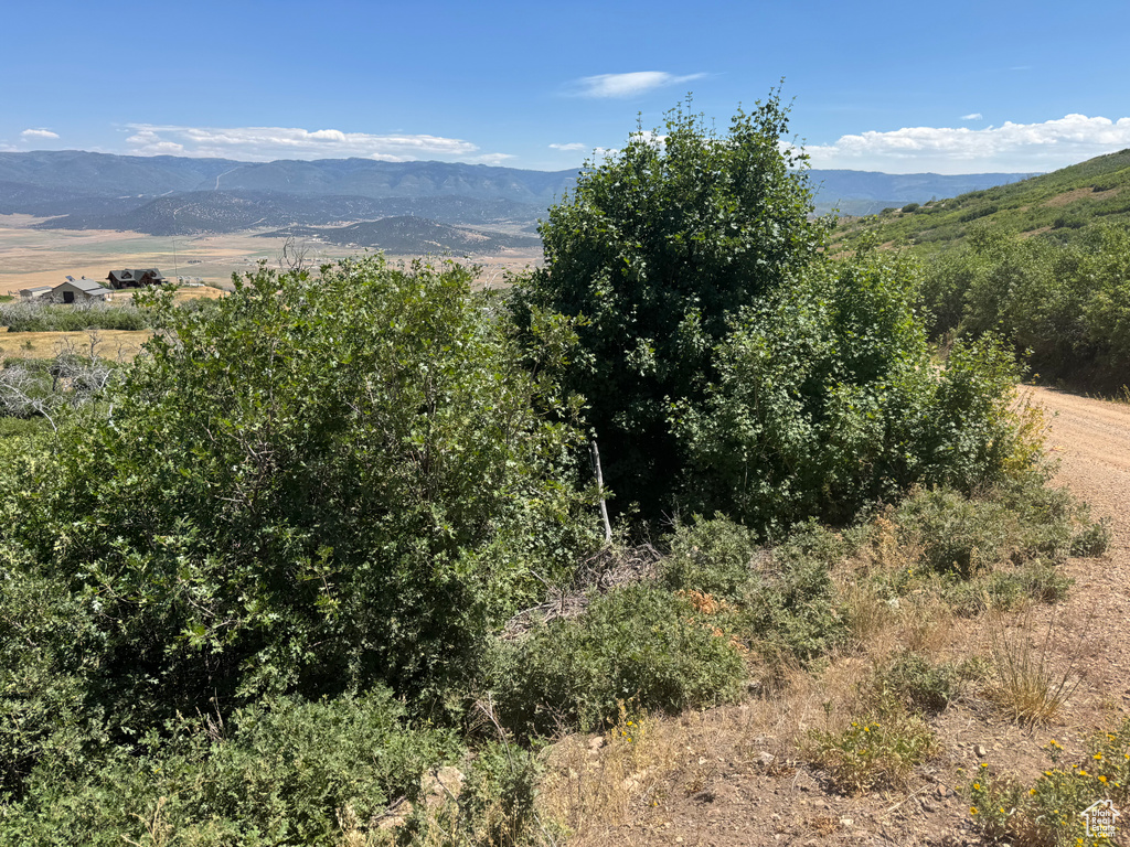 48  N INDIAN RIDGE DR Indianola, UT 84629