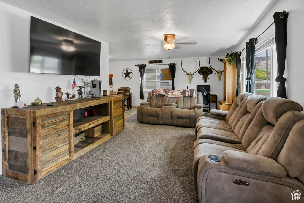 375 E MAIN ST Salina, UT 84654