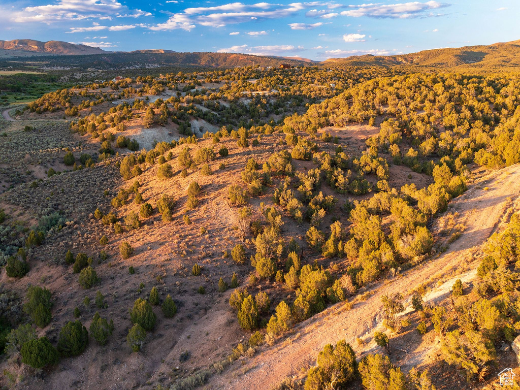 12536 E SOLITUDE DR Lapoint, UT 84039