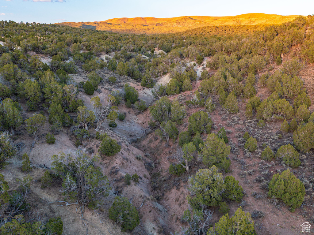 12536 E SOLITUDE DR Lapoint, UT 84039