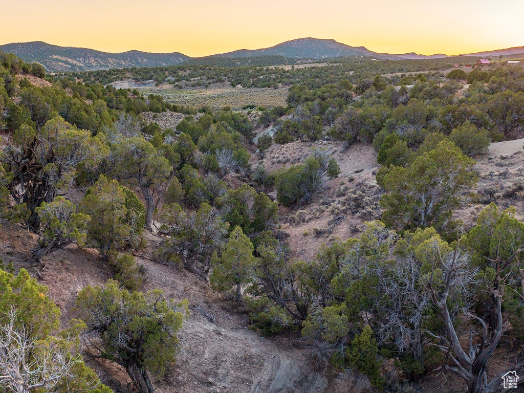 12536 E SOLITUDE DR Lapoint, UT 84039