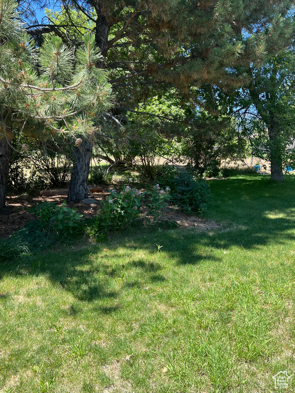 125 N CENTER ST Midway, UT 84049