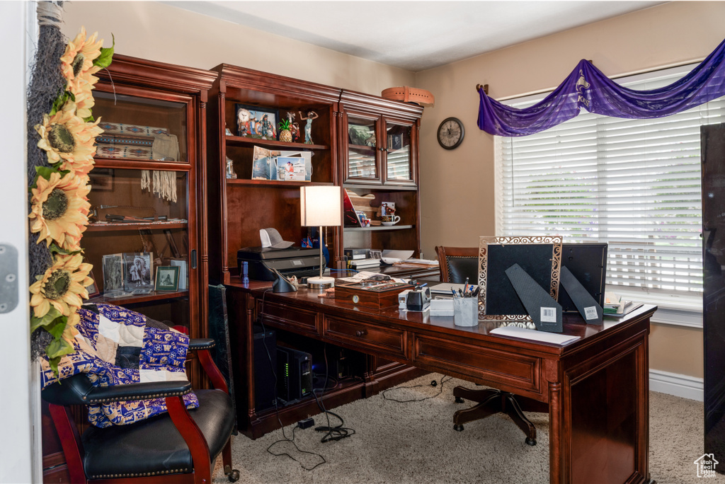 Photo 15 for MLS #2104195 at 9581 E 8000 North