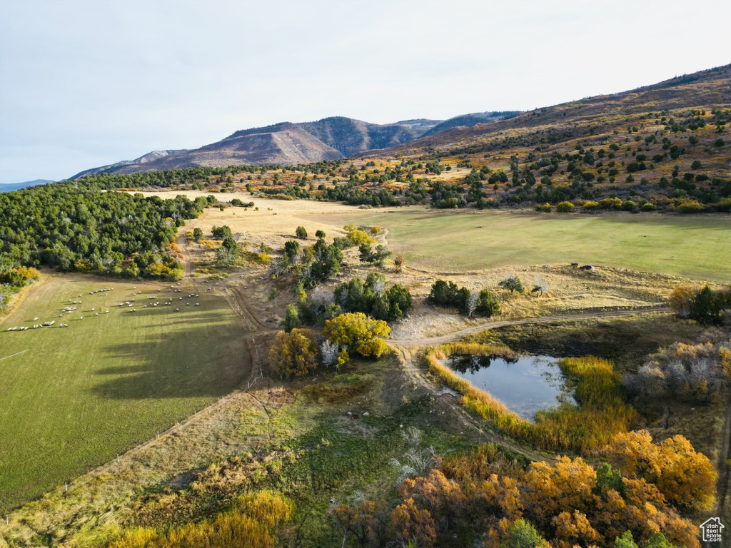 900 N CLEMENTS LANE #2 Fairview, UT 84629