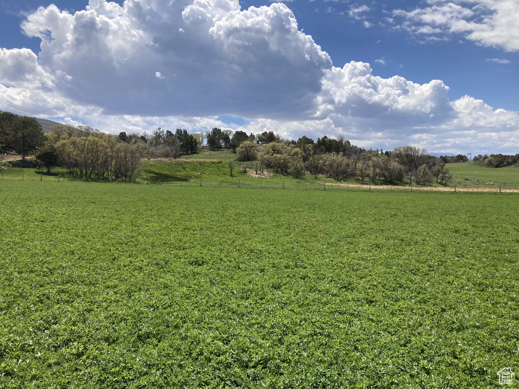 900 N CLEMENTS LANE #2 Fairview, UT 84629