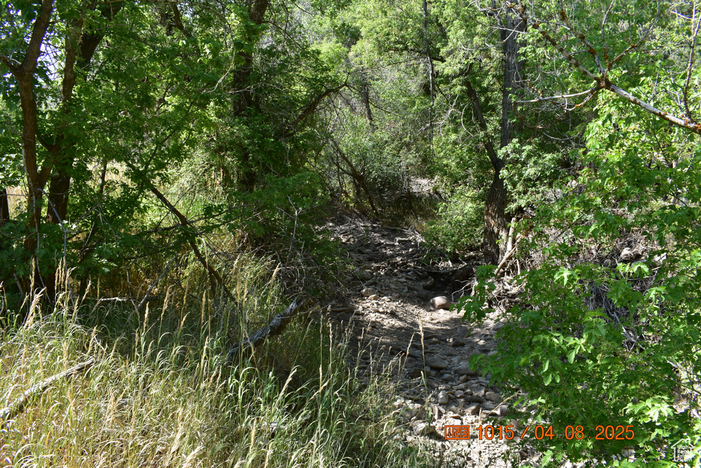 4544 HWY 40 Daniel, UT 84032