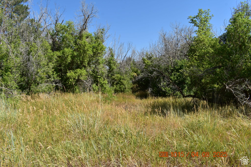 4544 HWY 40 Daniel, UT 84032