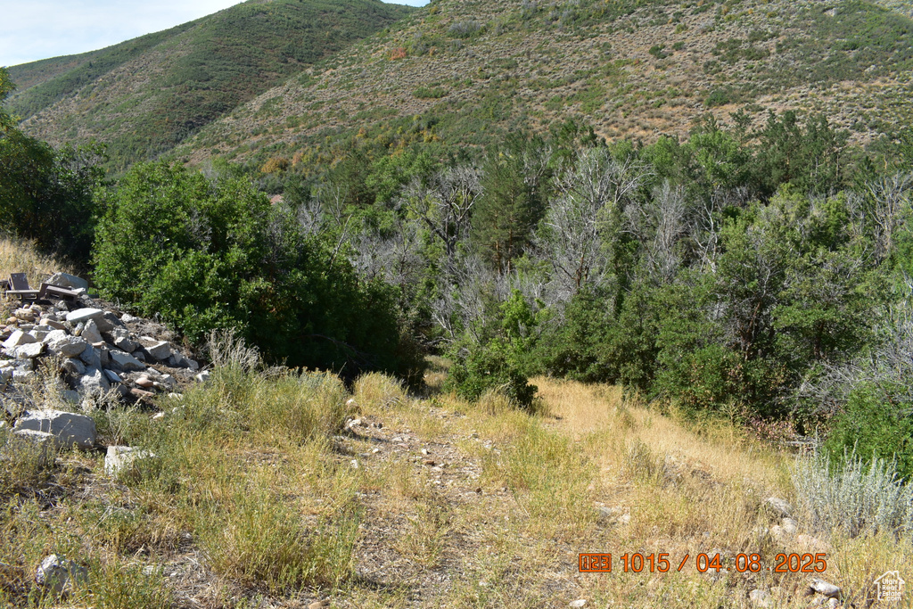 4544 HWY 40 Daniel, UT 84032