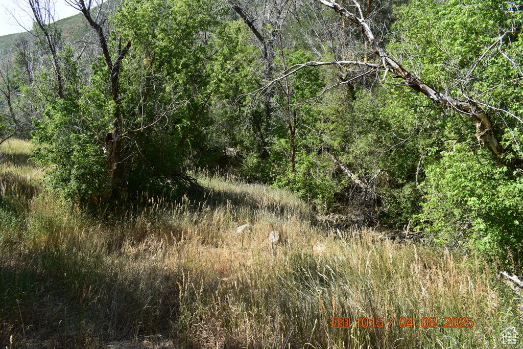 4544 HWY 40 Daniel, UT 84032