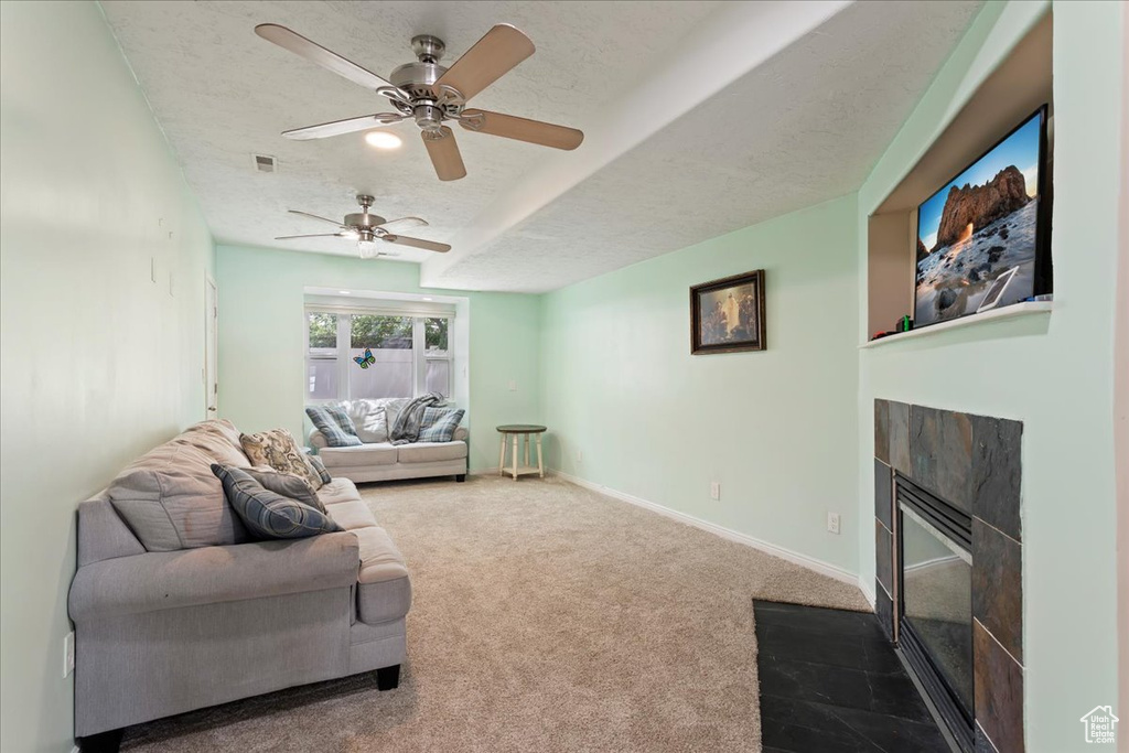 Photo 10 for MLS #2104248 at 794 N Valeria Dr