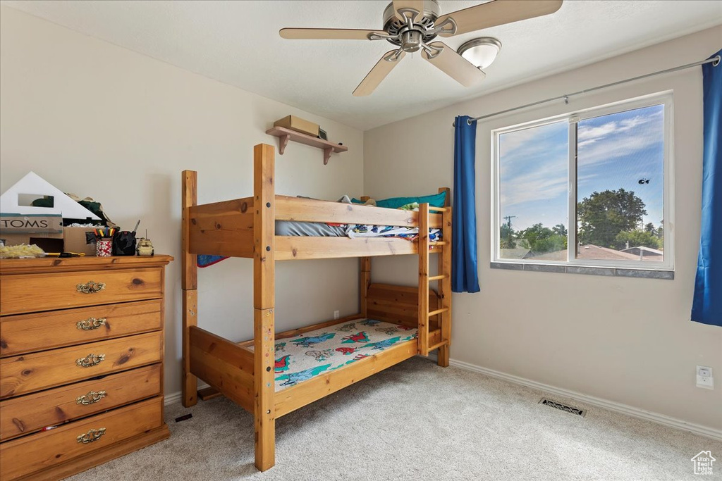 Photo 25 for MLS #2104248 at 794 N Valeria Dr