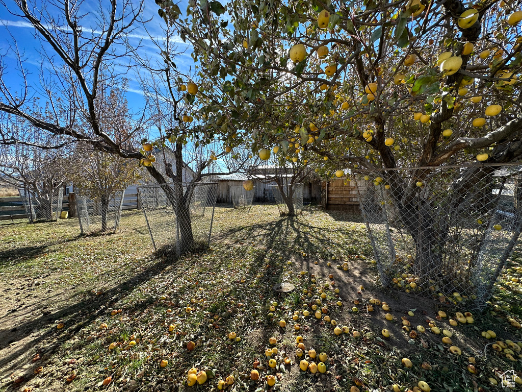 41 W BRYCE WAY Tropic, UT 84776