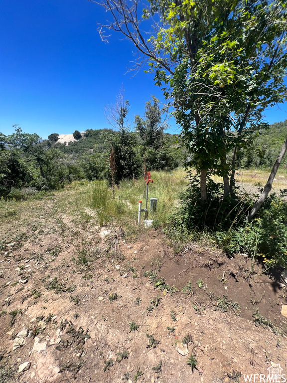 1  ARCHIES HIDEAWAY Fairview, UT 84629