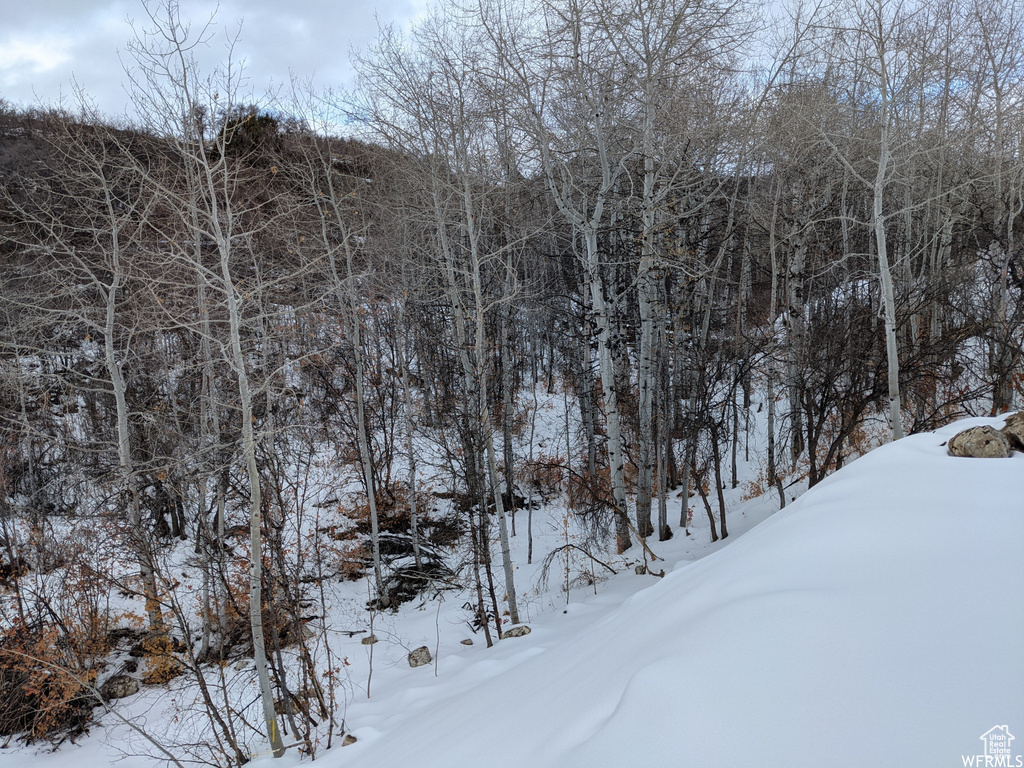 1  ARCHIES HIDEAWAY Fairview, UT 84629