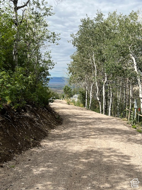 1  ARCHIES HIDEAWAY Fairview, UT 84629