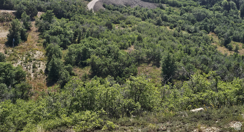 2  ARCHIES HIDEAWAY Fairview, UT 84629