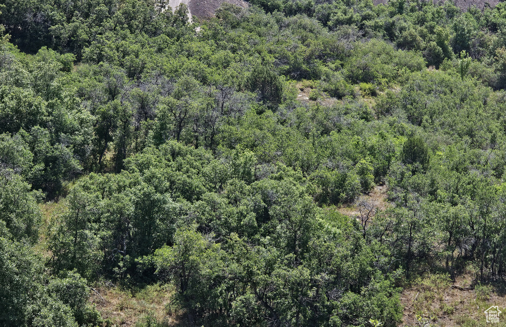 2  ARCHIES HIDEAWAY Fairview, UT 84629