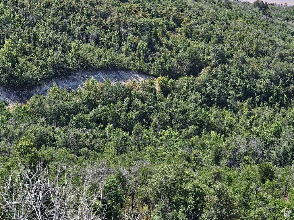 2  ARCHIES HIDEAWAY Fairview, UT 84629