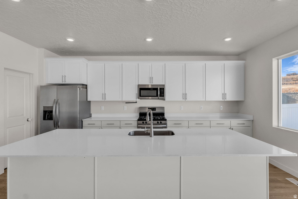 2543 N VELVET MOON DR Saratoga Springs, UT 84045