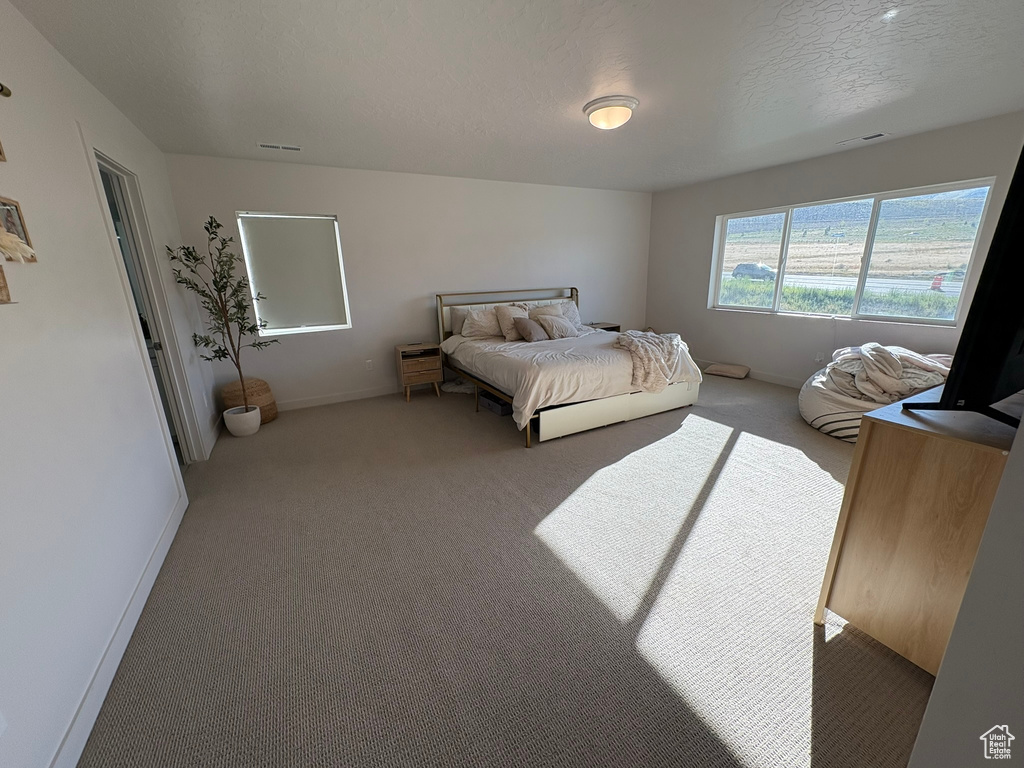 2543 N VELVET MOON DR Saratoga Springs, UT 84045