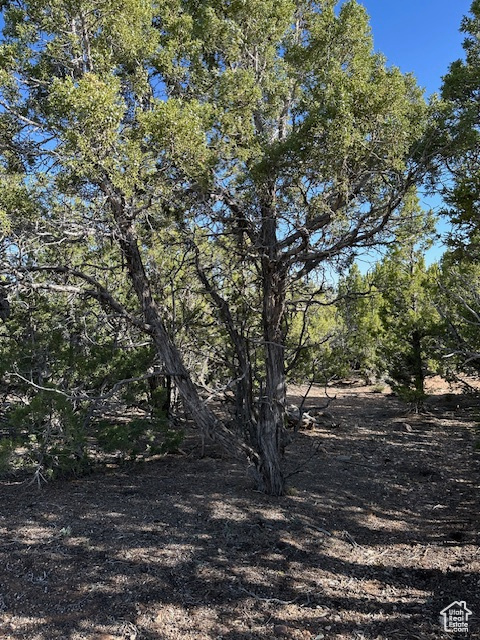  Neola, UT 84053