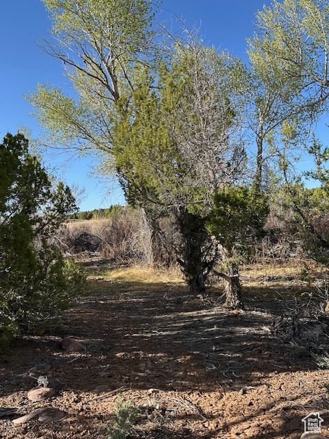  Neola, UT 84053