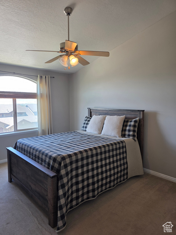 Photo 33 for MLS #2104353 at 10456 N Morgan Blvd